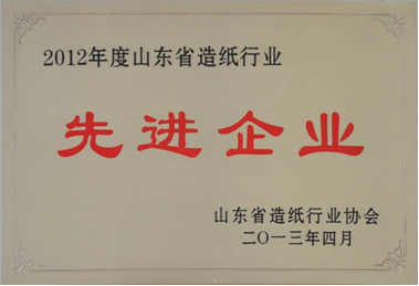 我公司被评为2012年度全省造纸行业先进企业