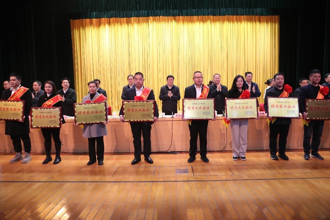 广西齐峰公司荣获贵港市2024年度“优秀工业企业”荣誉