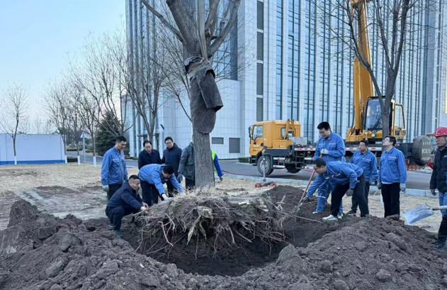 栽下新春第一树