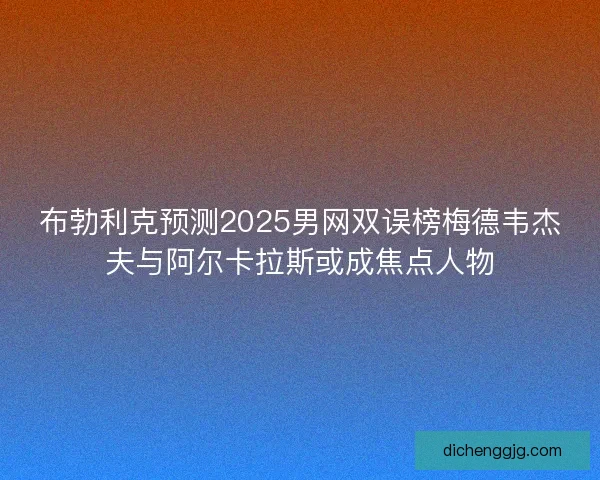 布勃利克预测2025男网双误榜梅德韦杰夫与阿尔卡拉斯或成焦点人物 布勃利克预测2025男网双误榜梅德韦杰夫与阿尔卡拉斯或成焦点人物