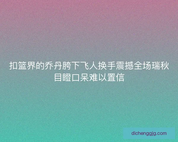 扣篮界的乔丹胯下飞人换手震撼全场瑞秋目瞪口呆难以置信